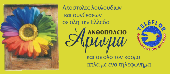 aroma